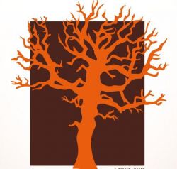 Natural Parket entreprise spécialisée dans les parquets en chêne et flottant au Pays de Gex