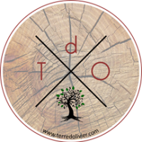 paysagiste Terre d'Olivier lyon croix rousse